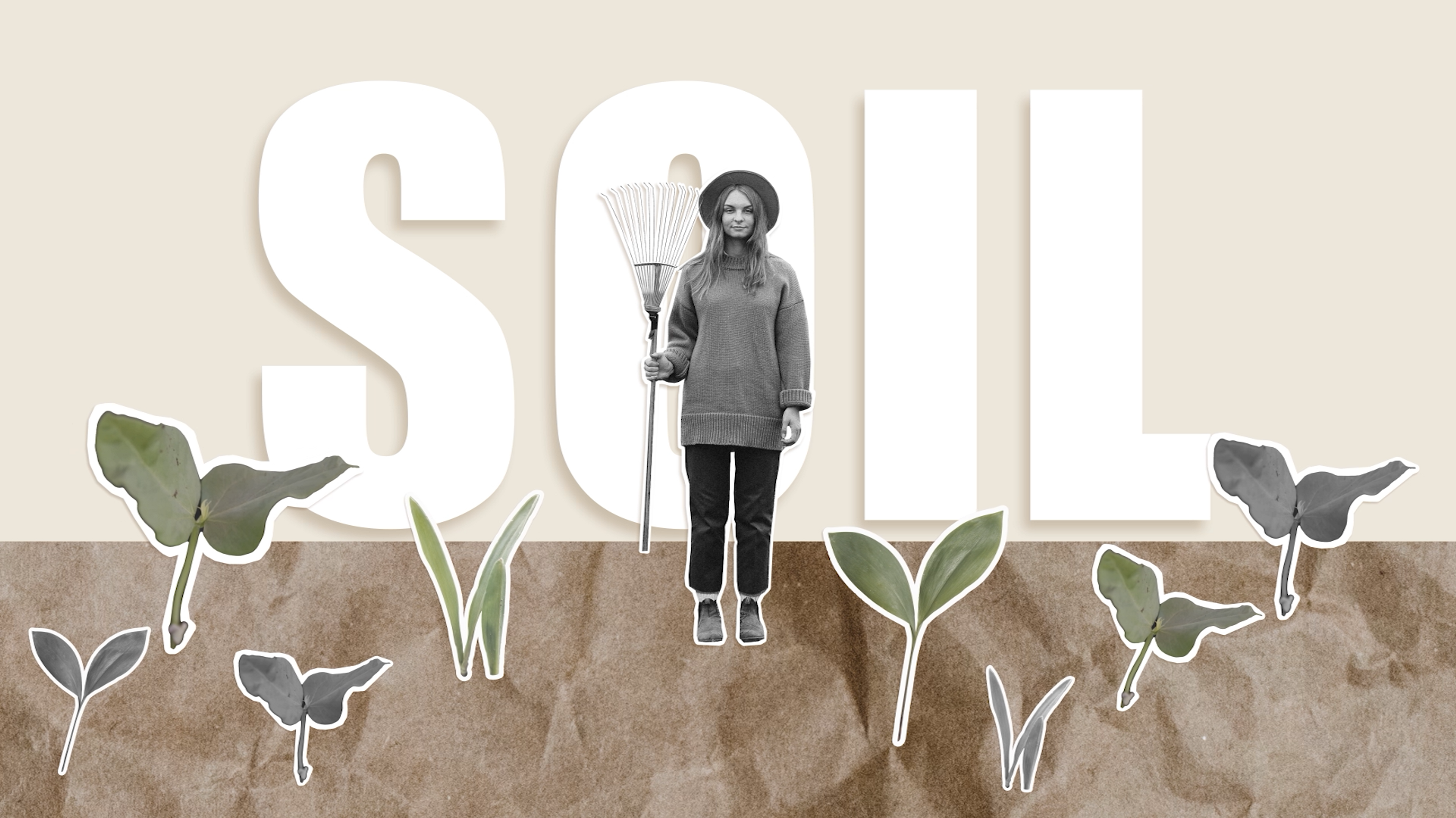 WCSS | E1 Life on Land | 2022